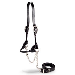 頭絡 |デーリィマン社